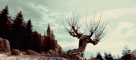 whomping_willow.gif