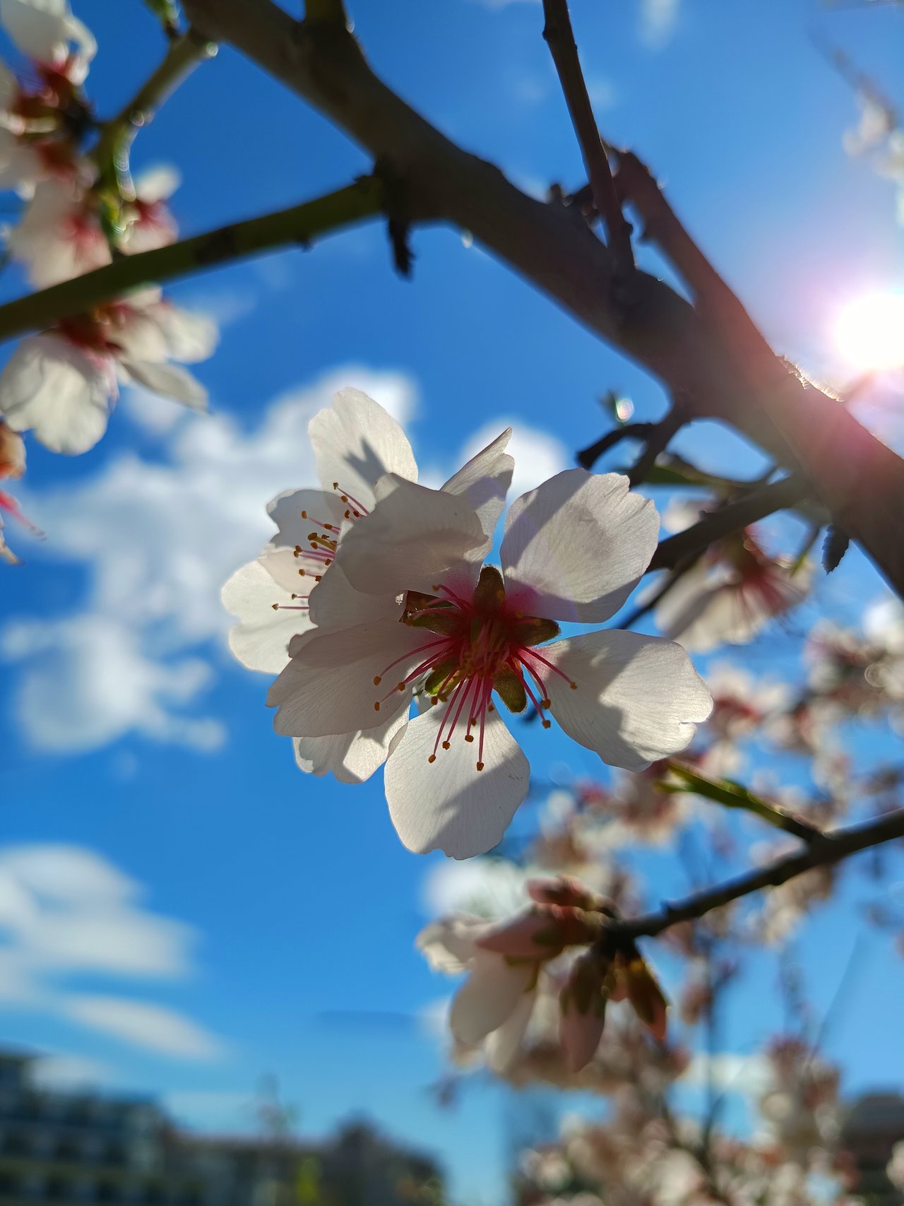 https://images.ecency.com/DQmf5J9rvDzV6zn4ttAaZeRP6jgaDKjAWENcwxWYLLs5FPT/1742418683338.jpg
