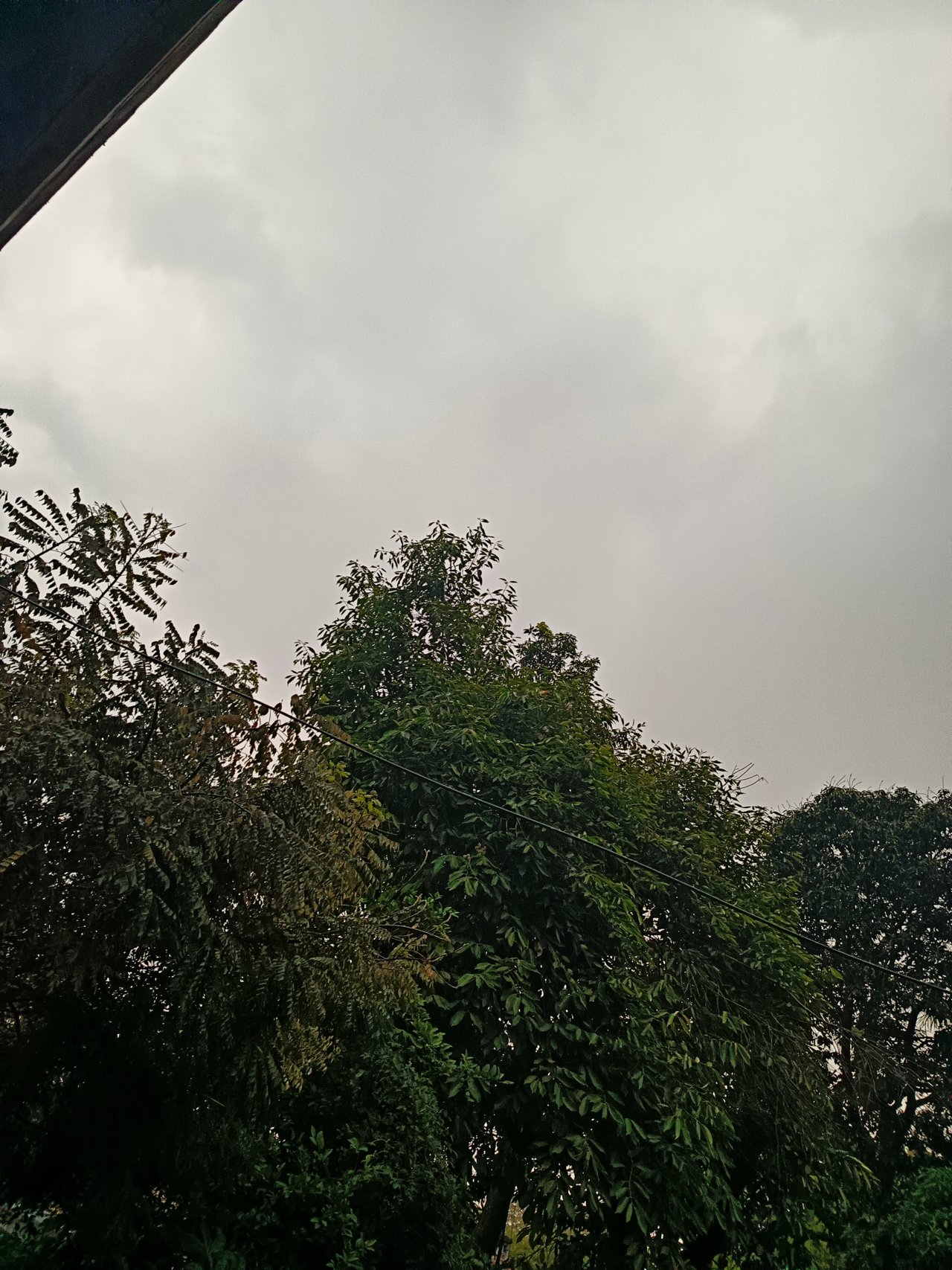 https://images.ecency.com/DQmf5VqpRDesHtmKk79iTQm6TGdzSzYY1VdiHE21hJPrU1w/1756896754758.jpg