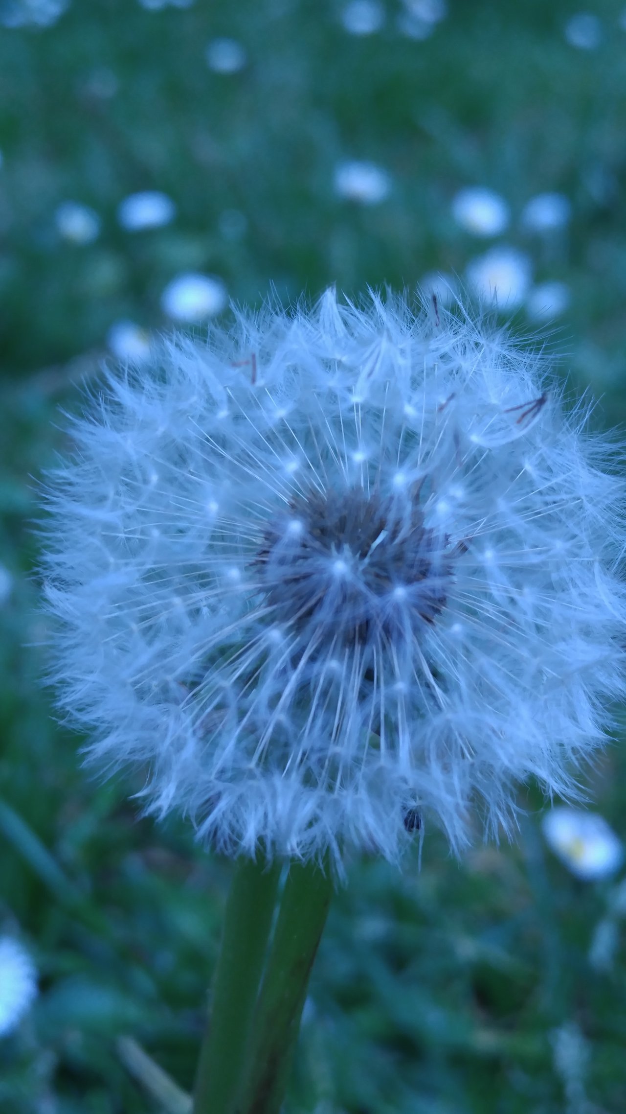 https://images.ecency.com/DQmf5yT6CW47nyFhG8opyphj3nWHNgsKyr4Vb6JGuCvUmE8/20160430_154604.jpg