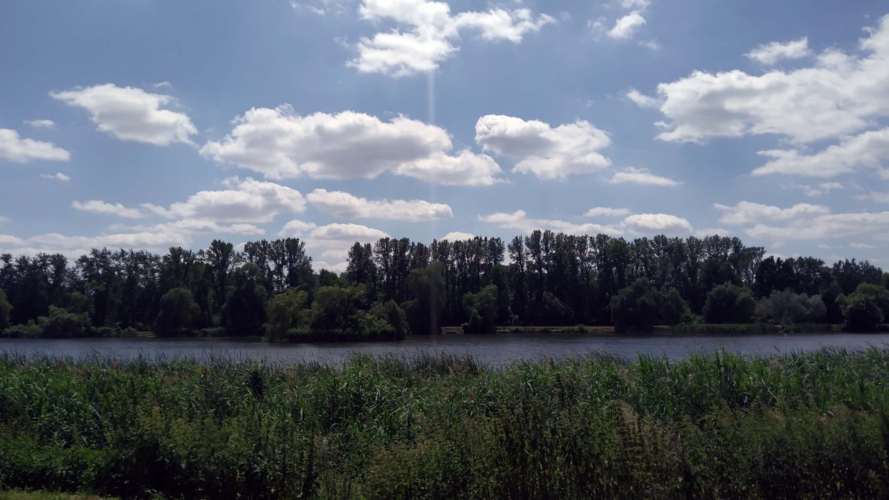 https://images.ecency.com/DQmfEEDRGqhZCrKjxp7YbJSCvg7y6j91K1aKgA1JRTpsqqL/a02.jpg