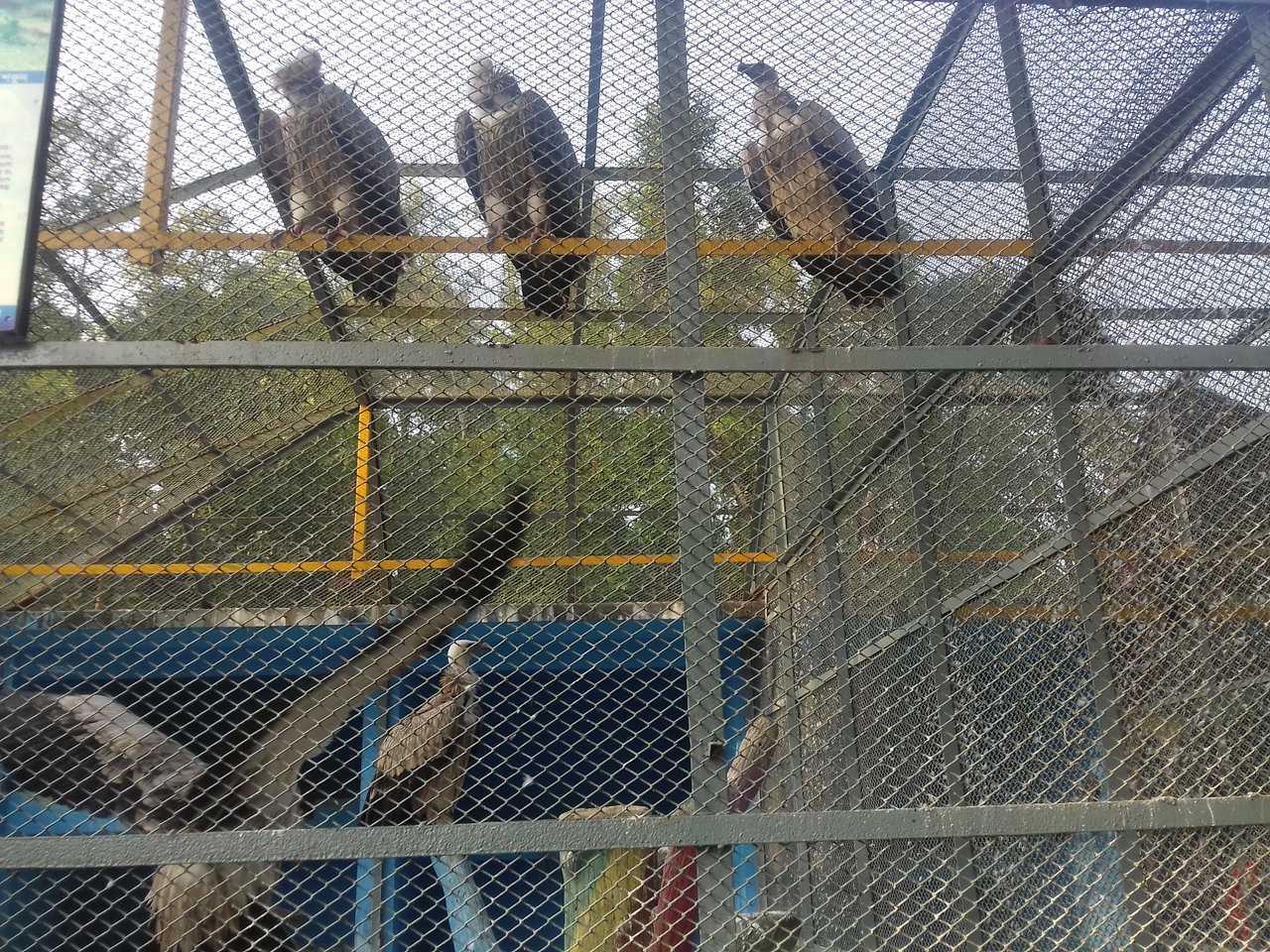 https://images.ecency.com/DQmfF8kQq8G6TYB49JMGS5nV4fCqrFGo4qKPcBFKz54awP6/20191211_153001.jpg