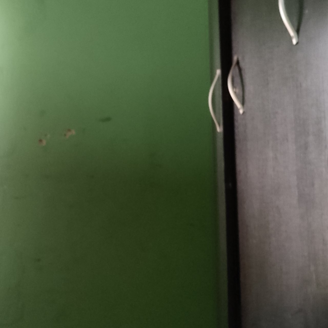 https://images.ecency.com/DQmfFBFX5SNcKKBdK74kVMYr5dyptKs5gm45VkZd2RGRyY6/1738072575316.jpg