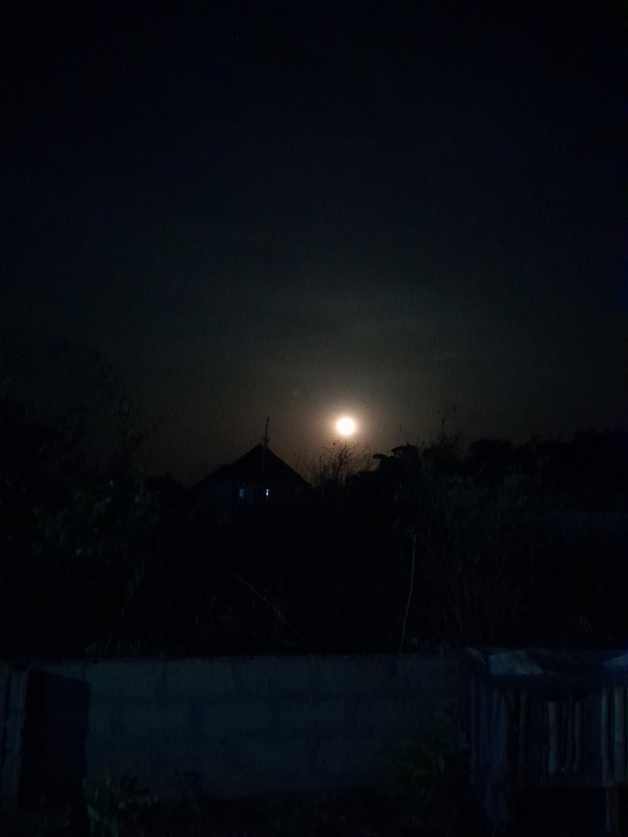 https://images.ecency.com/DQmfFEtiBDLSstbGG6M6q1cyhyhD1yqkfCAxf1mHxJkrZsS/1742674539212.jpg