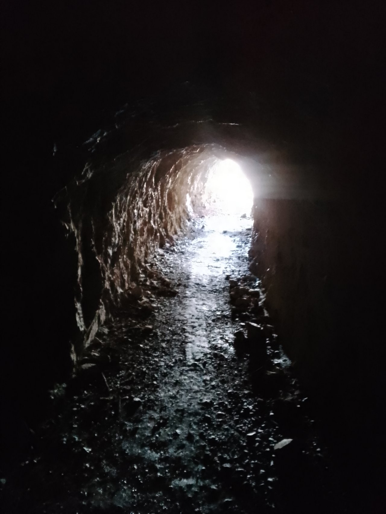https://images.ecency.com/DQmfLvdYANGepL1tNkaHQtdsmGdWdwJxzmj3zrjoQfbphCn/1739724484902.jpg