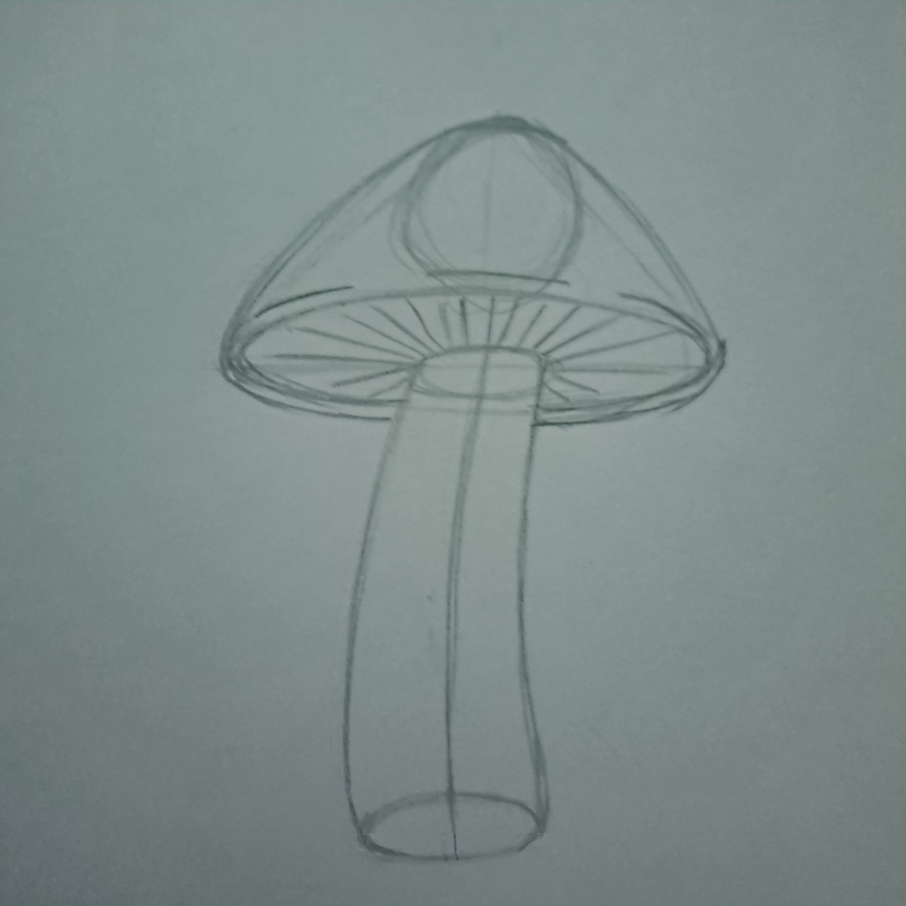 https://images.ecency.com/DQmfTqayzwuZjaZPnrGxaJV5xjS5AsyxDDyAXJ3nj5bSTjs/10.jpg