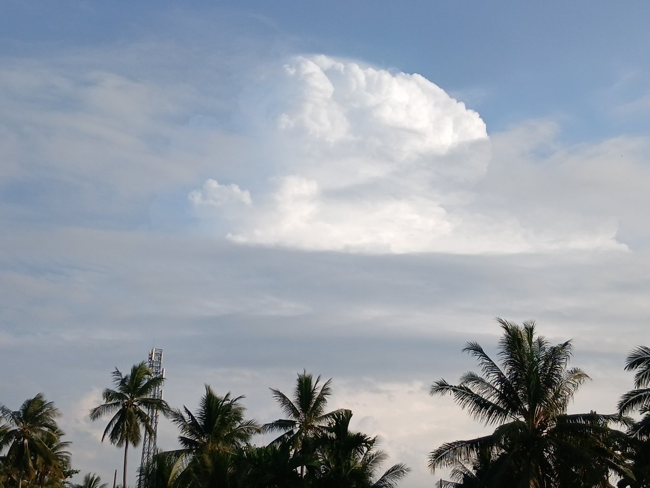 https://images.ecency.com/DQmfUASSYzFHPjjZiLWD3wMfRFnifBwHDgSFRqnmSHUyetK/1751291639972.jpg