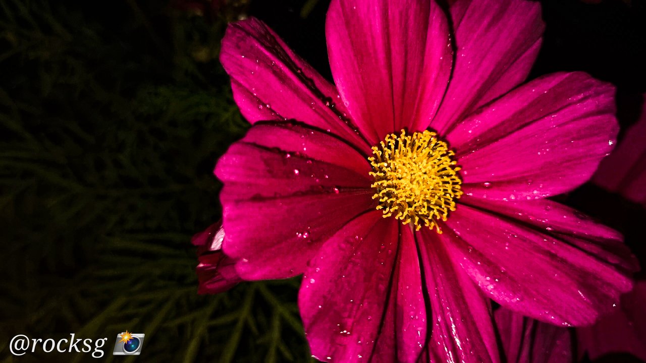 https://images.ecency.com/DQmfUReHfWZrLNnVpVX33qDpRLYSQiinGbUoLkGNrp6YAWB/1708416517382.jpg