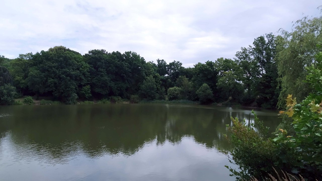 https://images.ecency.com/DQmfYSx5mPcKLGumSB7vWwY7QR2GvZGvnsDPWMSiaSygtNH/ac15.jpg