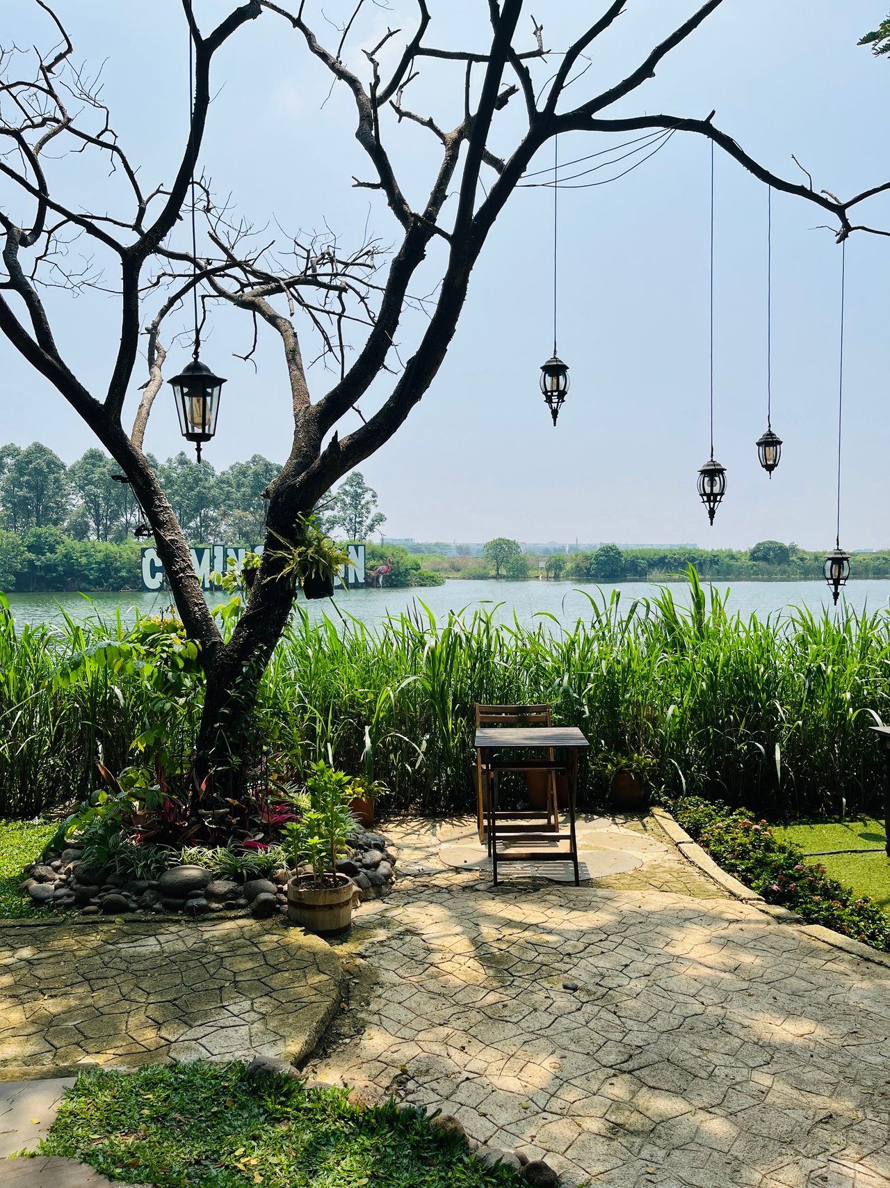 https://images.ecency.com/DQmfZDrFzXjRCfR3JicASx9UtBQBRaQumY9r2VHrbb9sGao/img_1131.jpeg
