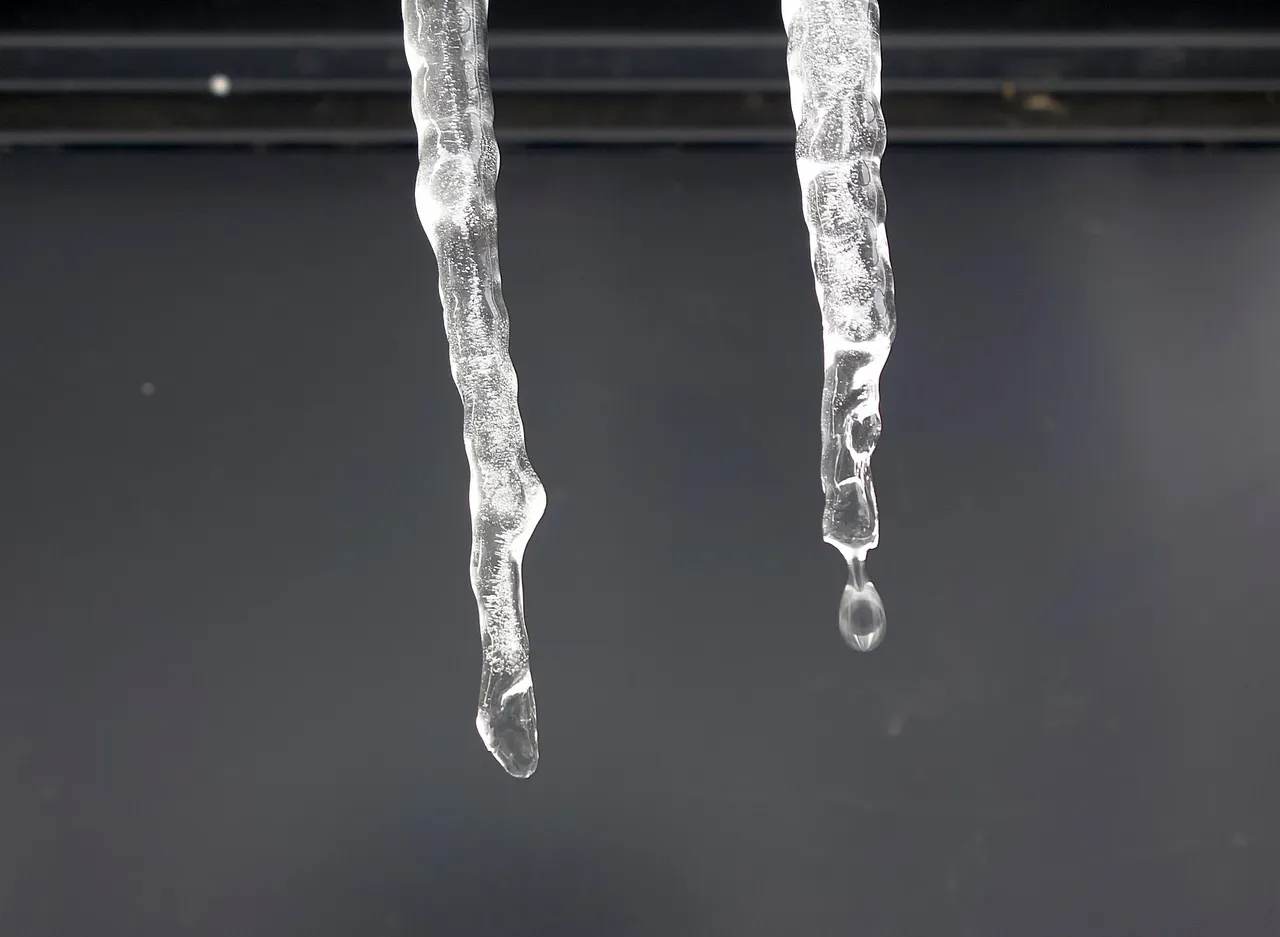 https://images.ecency.com/p/4i88GgaV8qiFkxbnGCXnHNbt8wcgAMNP6xb3BathKmHss7WLThv3duurAwGxCnyrQGWLzdNR57WTf4tDkax4LfxcJoweAYvJ9y48YjmwJkHUWFSt9hiBqMtK8J.png?format=match&mode=fit