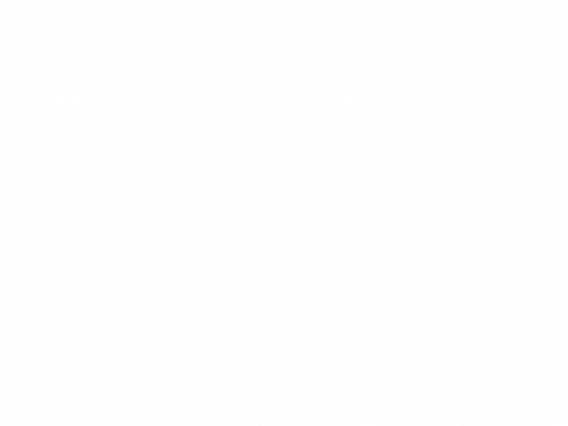 Pentatomidae(1).gif