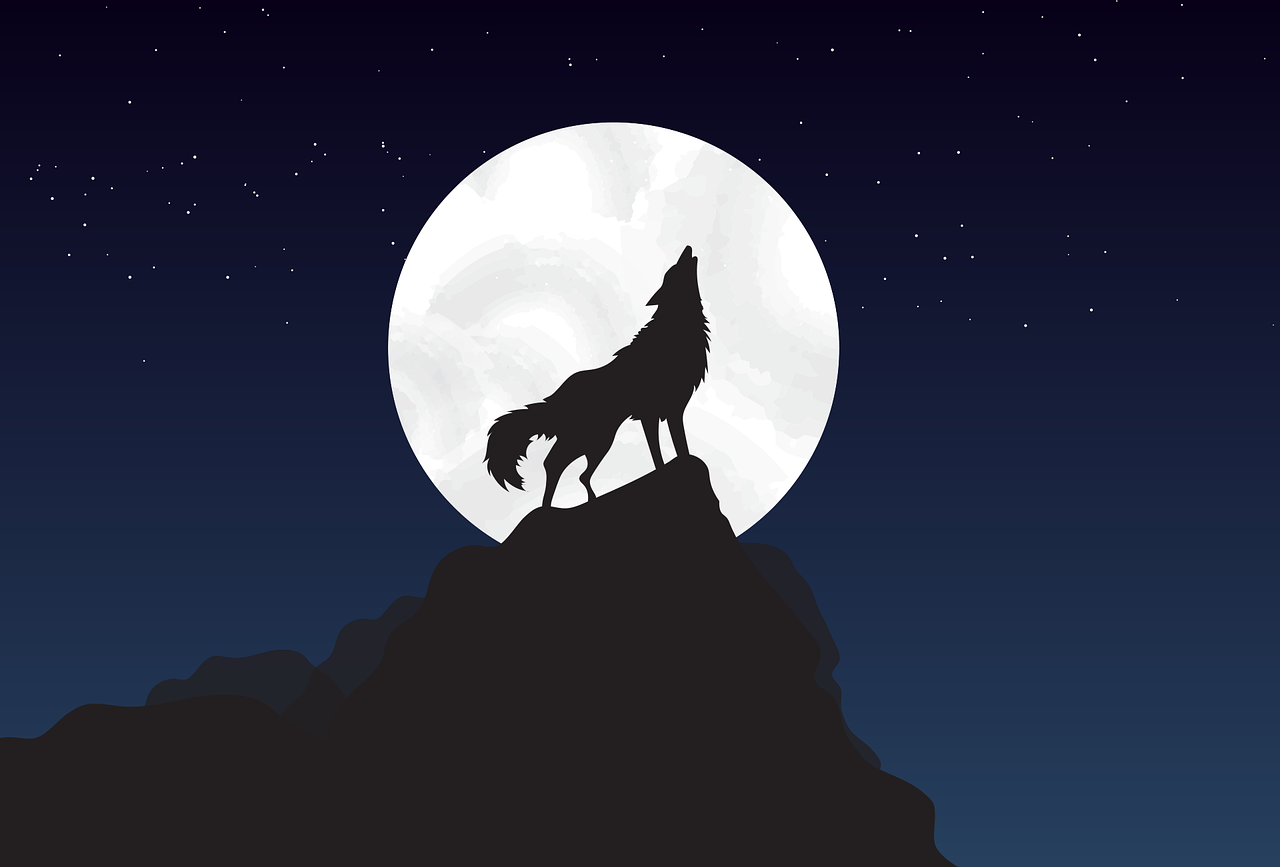 Dibujo De Un Lobo Y La Luna | The Best Porn Website