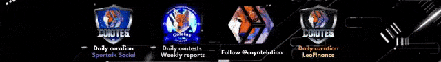 Daily contests and weekly reports.gif