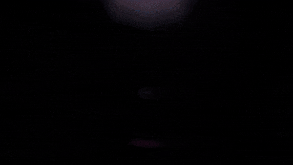 hive (16).gif