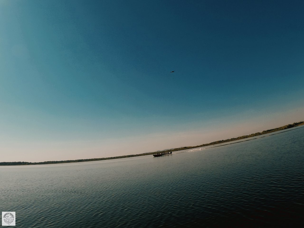 img1604394839573.jpg