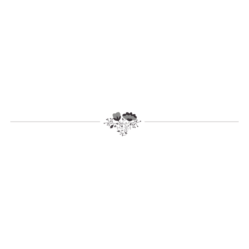 https://images.vexels.com/media/users/3/131235/isolated/preview/8ee1ea6424182bedde6dace0ed0934bf-linea-divisoria-floral-adornada-3.png