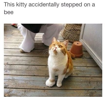 Bad luck