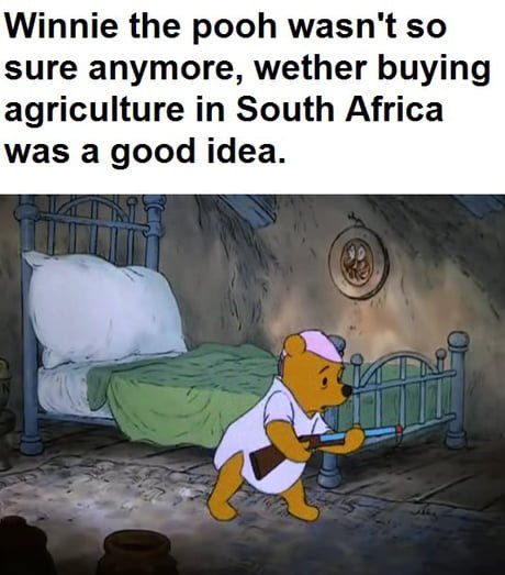 Dumb old bear
