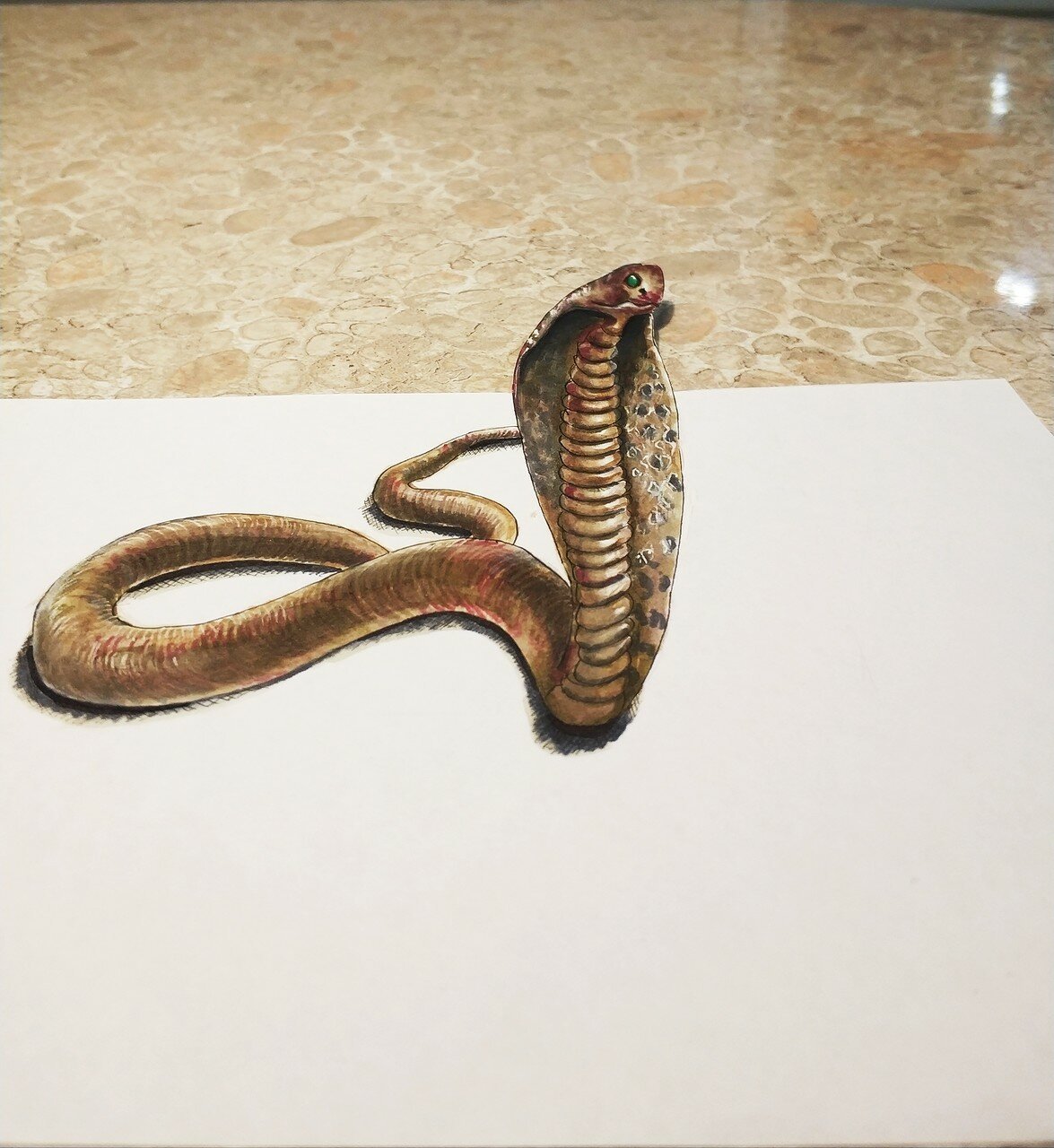 How to Draw a Cartoon Snake