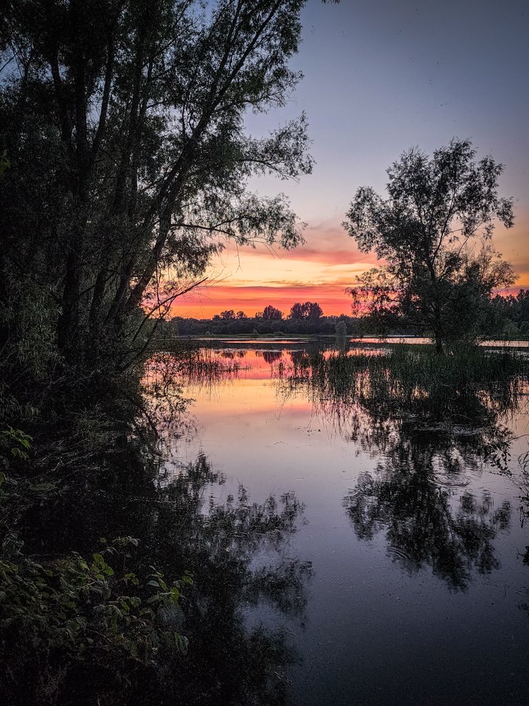 https://img.blurt.world/blurtimage/boddhisattva/fed4f359b98c5b0cc1c503dcbf7b907721aa3e14.jpg