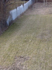 full2.gif