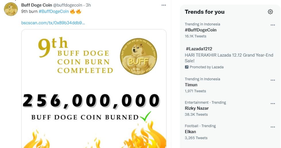 Buff doge coin poocoin