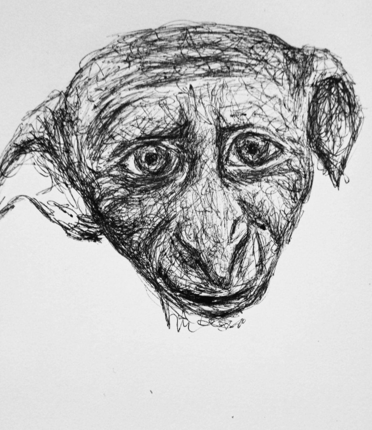 MuggleNetcom  This magical pencil sketch of Dobby comes all the way from  India and is the creation of rajatarts Thank you for sharing you art  with our community Artists profile httpsbuffly3fVQUPZ 