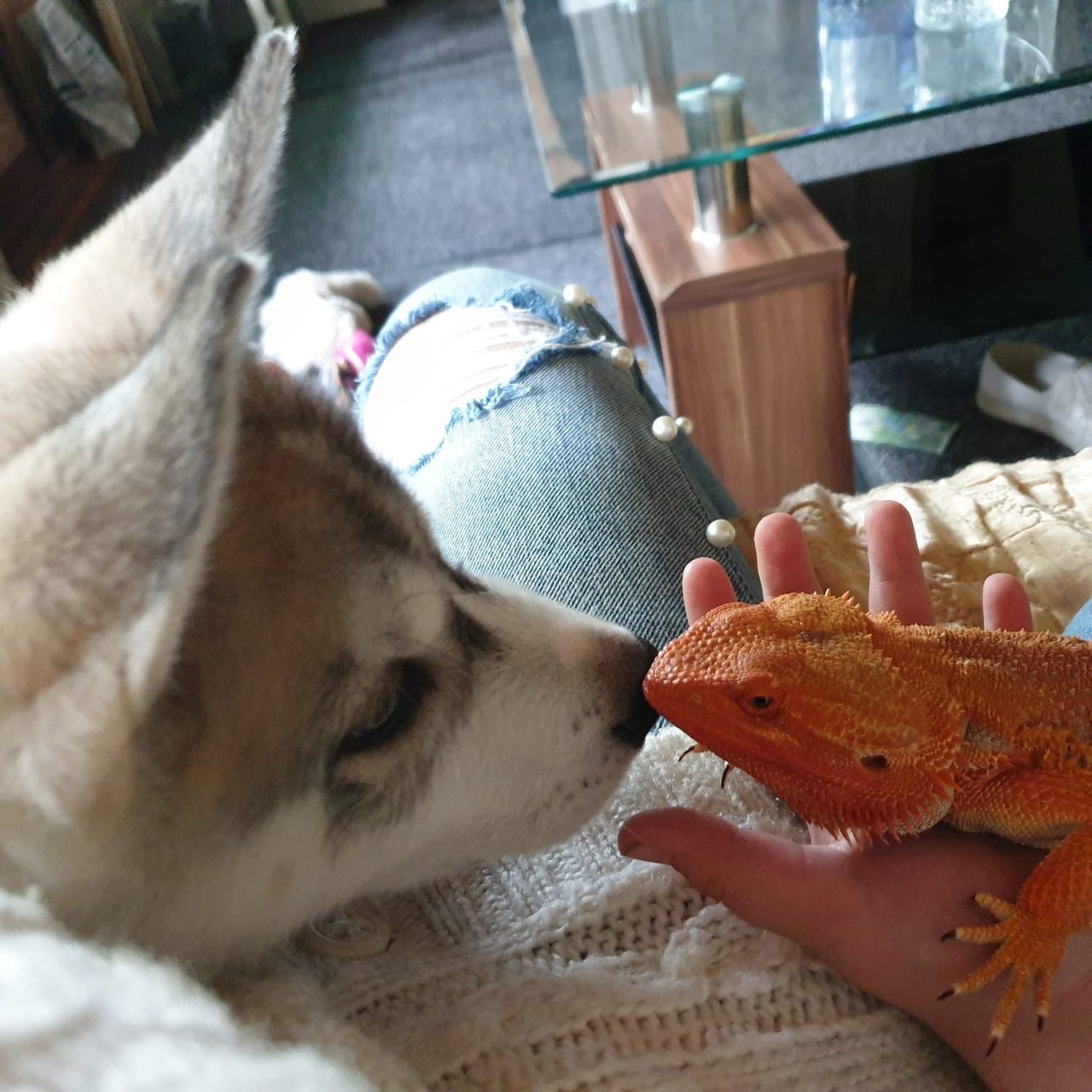 4zju5x.jpg