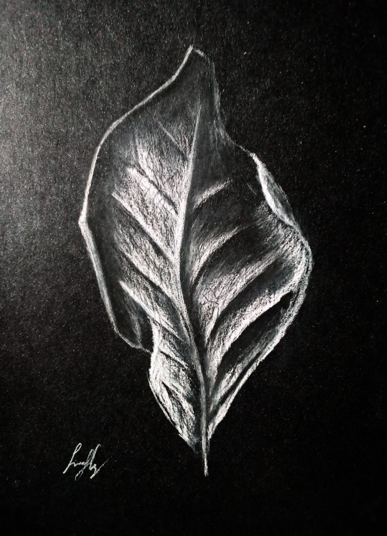 How To Draw A Leaf On Black Paper With White Charcoal