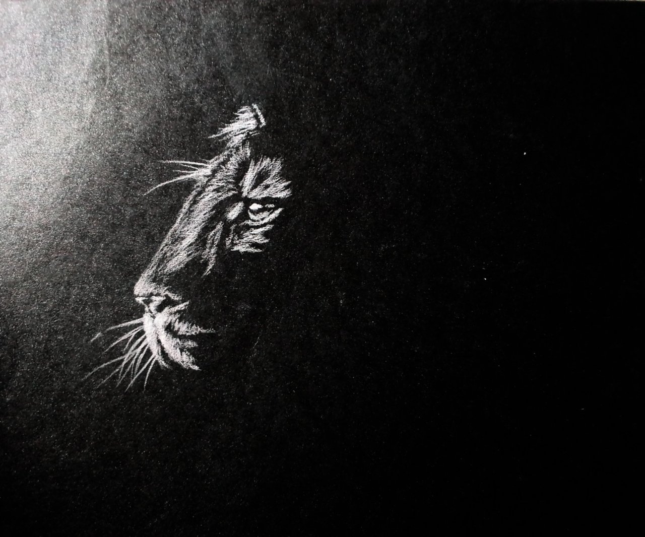 A Vigilant Nap, Charcoal on Toned Paper - Portraits of Animals