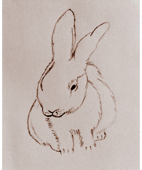 Premium Vector  Cute rabbit sketch in strokes hand drawnvector  illustration