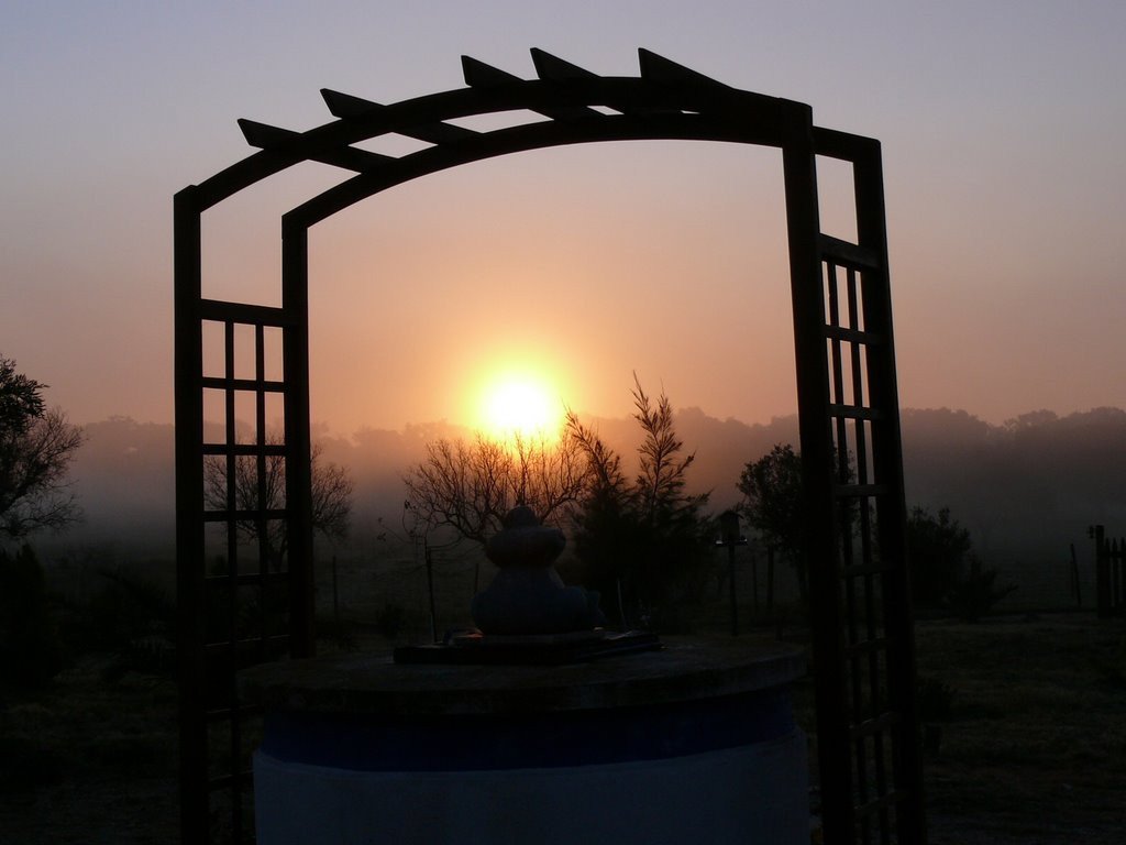 lbt07p.jpg