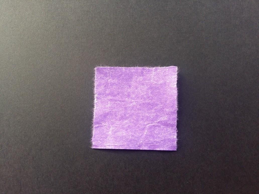 0kb3y5s8nc.jpg