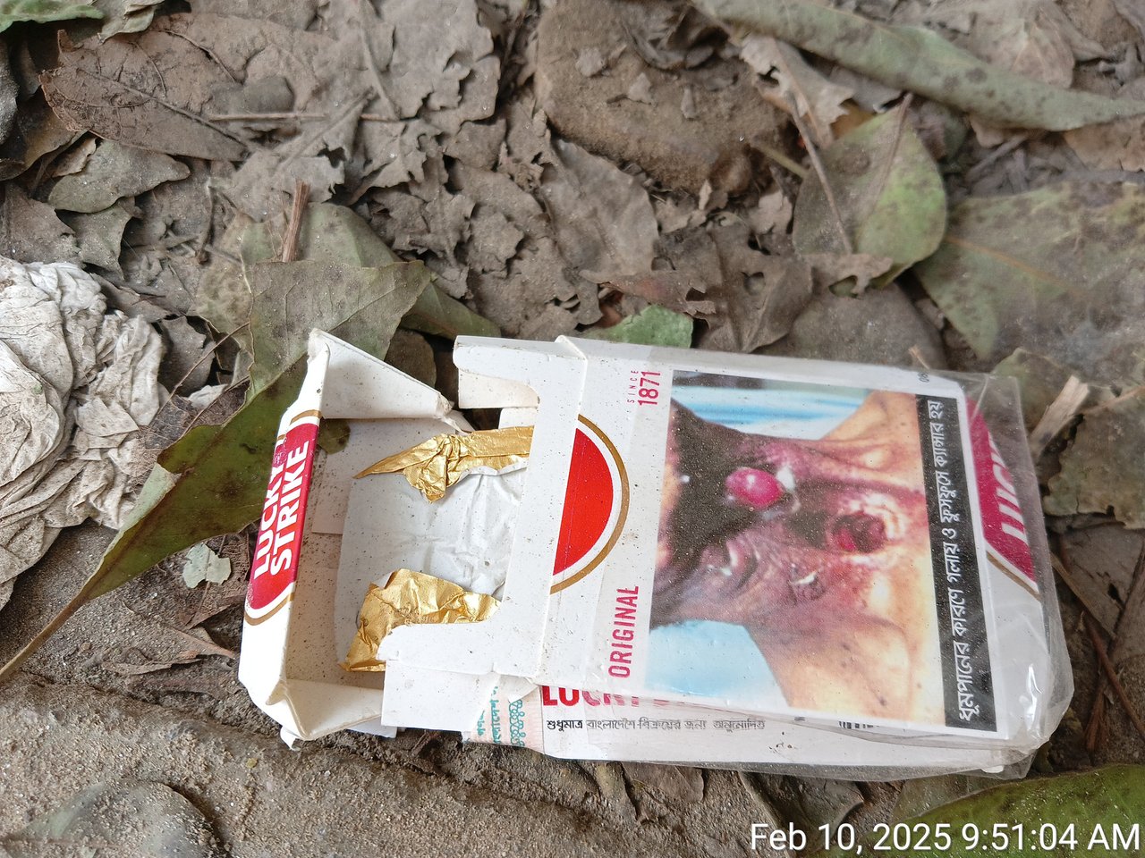 https://img.inleo.io/DQmYJFRsbppQPfYsf2MgTtvctuu4yYTq4424hyEWJGVwUrD/TimePhoto_20250210_095104.jpg
