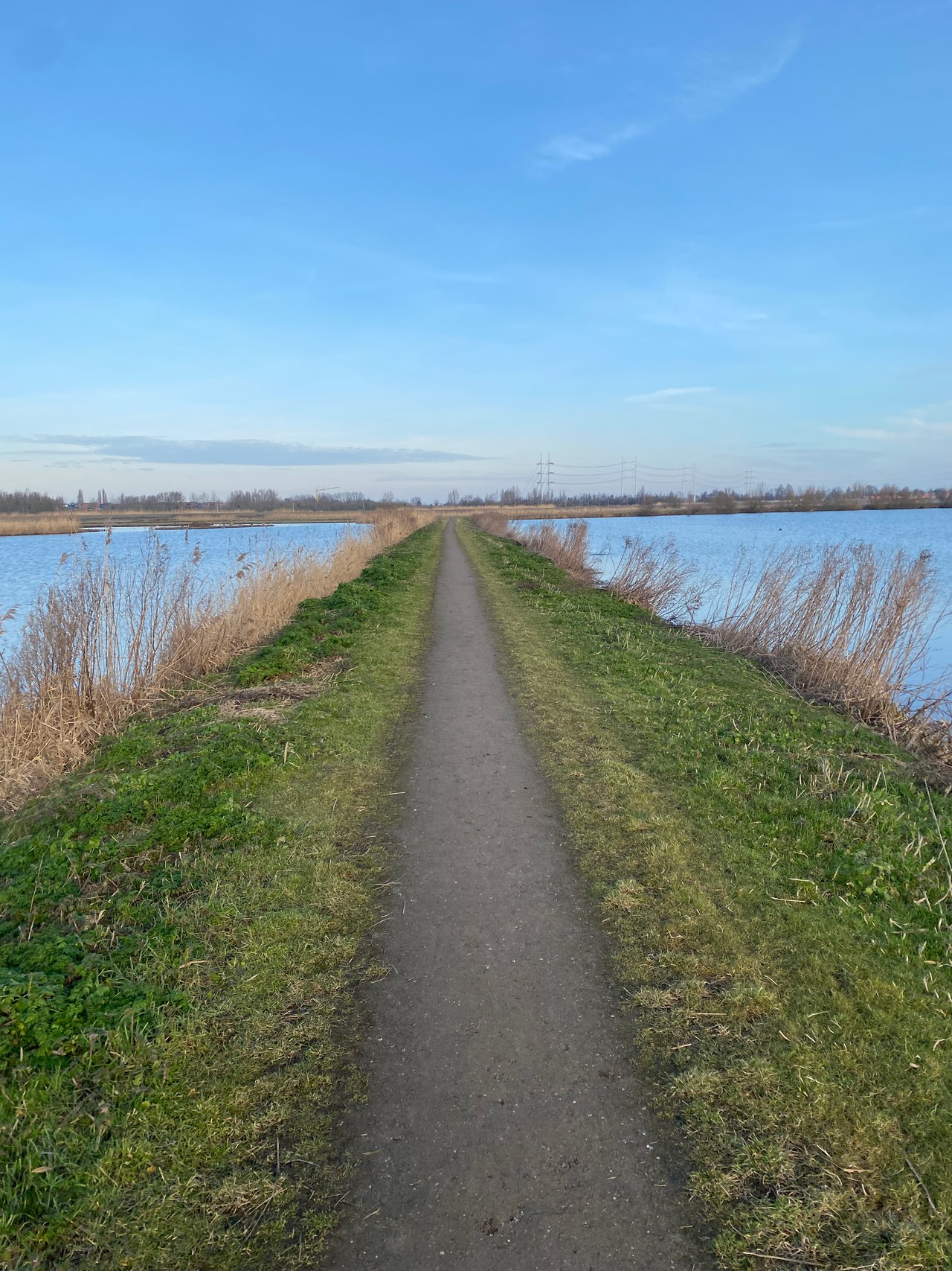 Recovery Run | Beautiful weather