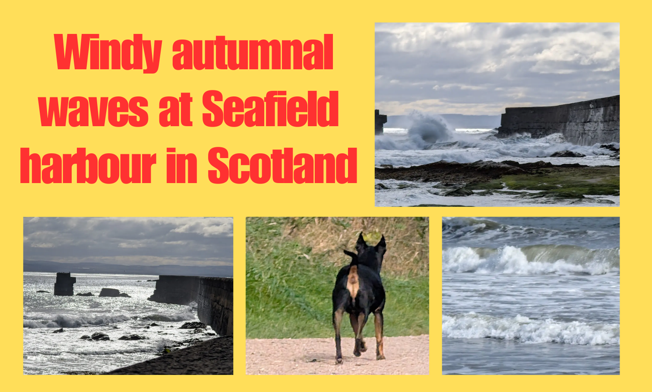 https://img.inleo.io/DQmf3ZCQ4ox7YF5Y4uyScTX5eLEE15kRJT6HjmSydN3kL81/Windy%20autumnal%20waves%20at%20Seafield%20harbour%20in%20Scotland.png