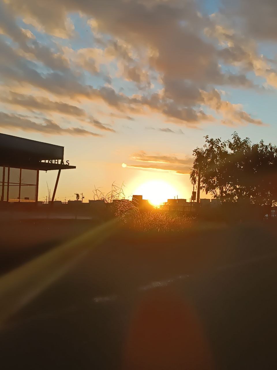https://img.leopedia.io/DQmQNbXc4wVPC1umNkP7YZXKNUDAgos1PabUfs2zGXRLNhM/photo_4947400844790312723_y.jpg