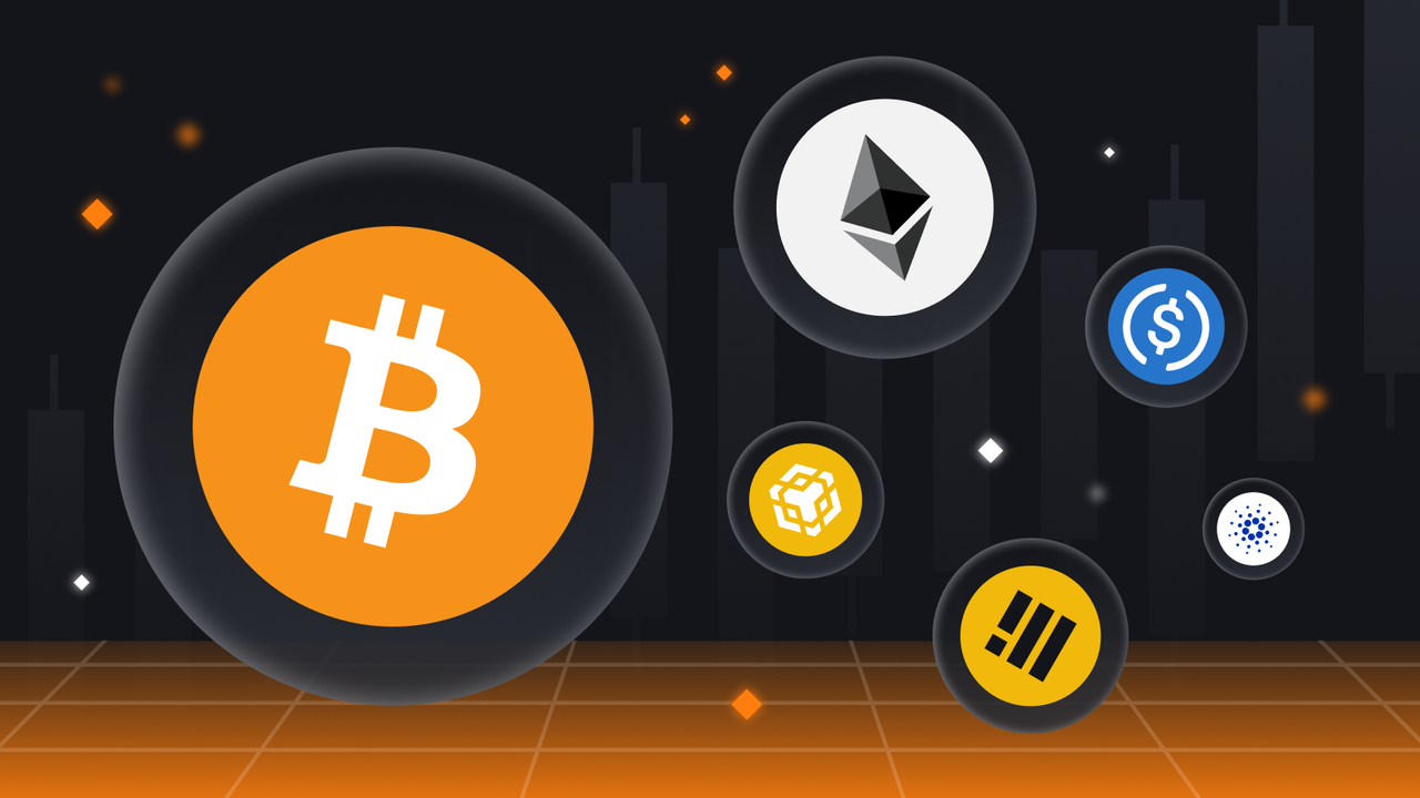https://img.leopedia.io/DQmSjGZ5j5PSrgmZahVvWPWK1Ew5rqKCBZ5qxyyShrX2SQn/image.png