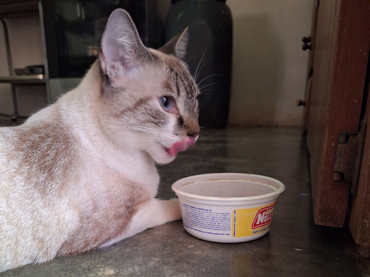Linda comiendo acostada