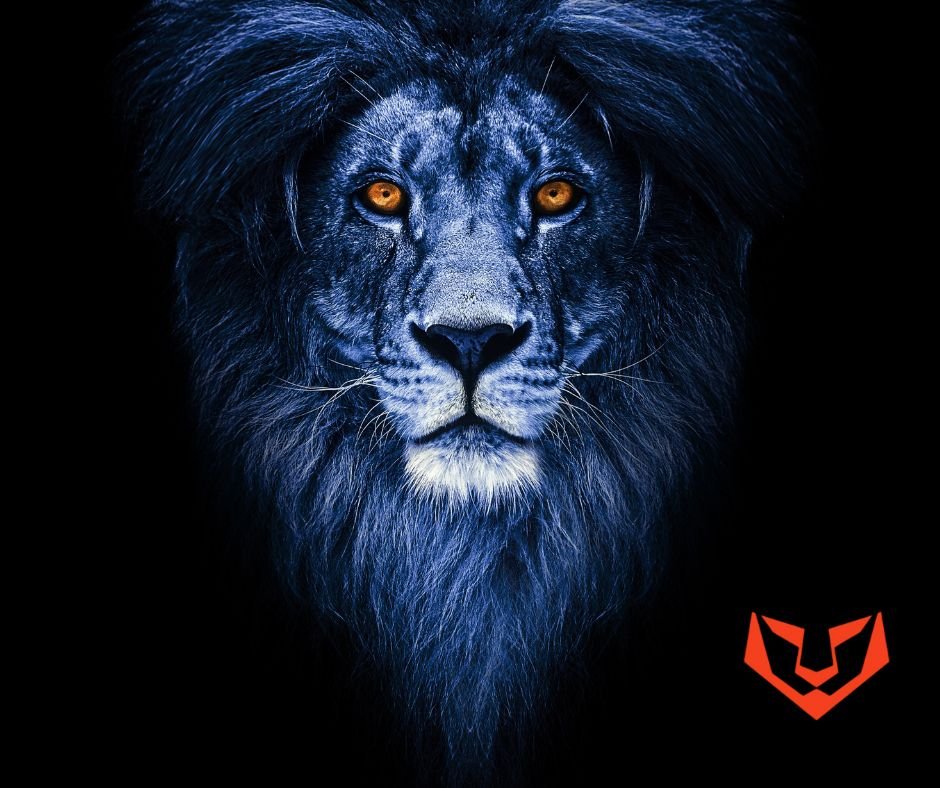 https://img.leopedia.io/DQmYWtZKq72EEUFWtQ7cy4cAfTYdXgyURwdhH8HWp5M4DQw/Cub%20to%20King%20of%20the%20Jungle%20How%20I%20Became%20a%20Leo%20Lion%20Just%20in%20Time%20for%20the%20Rise%201.jpg