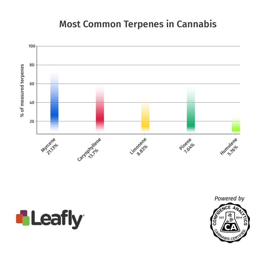 https://img.smoke.io/img0/grahamsvorten/b3046012375b1ba11c563501c31677fc84681c2c.png