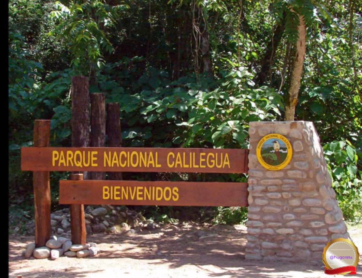 https://img.travelfeed.io/hugo1954%2F20200401T184449737Z-01-Calilegua-Nationa-Park.png