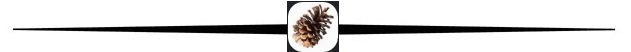 r1NZ5Er.png