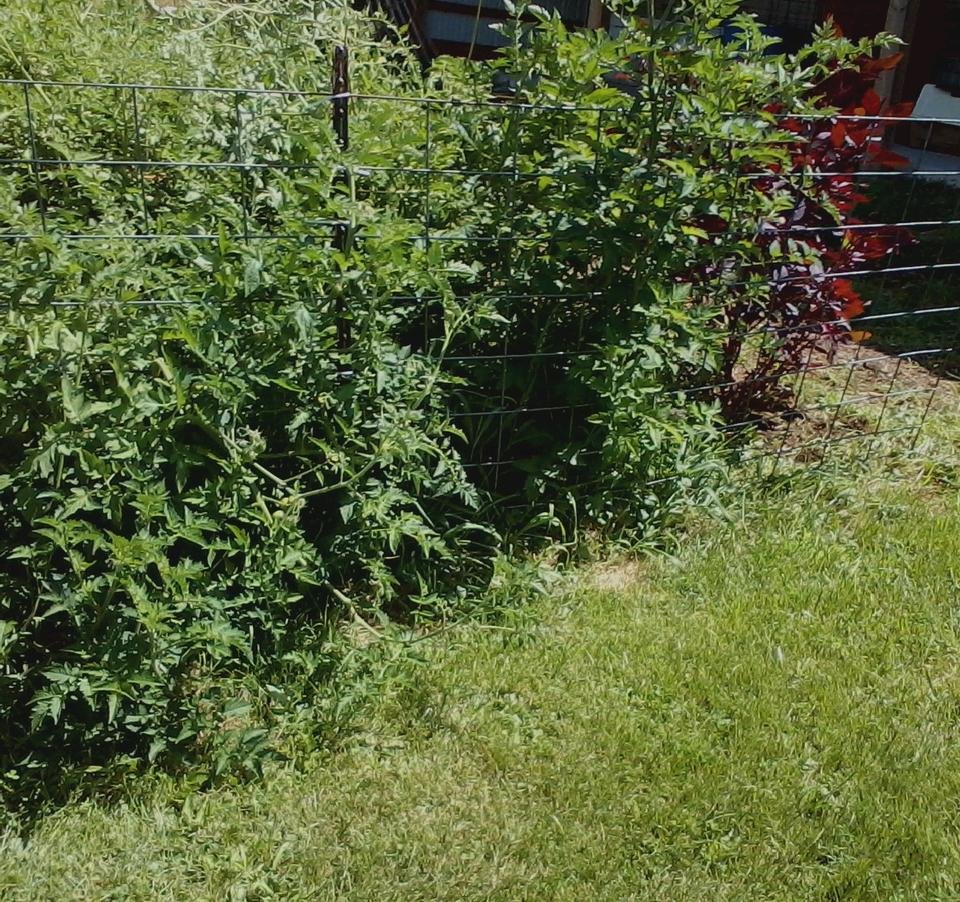 0808171337a_0001.jpg