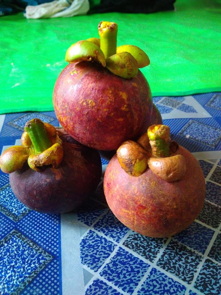 Khasiat buah manggis