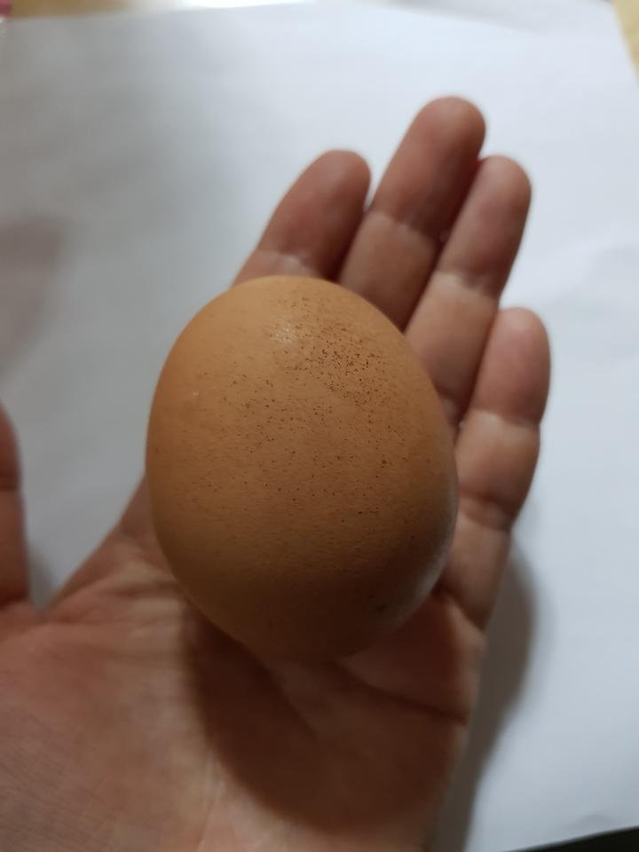 20180716_233231.jpg