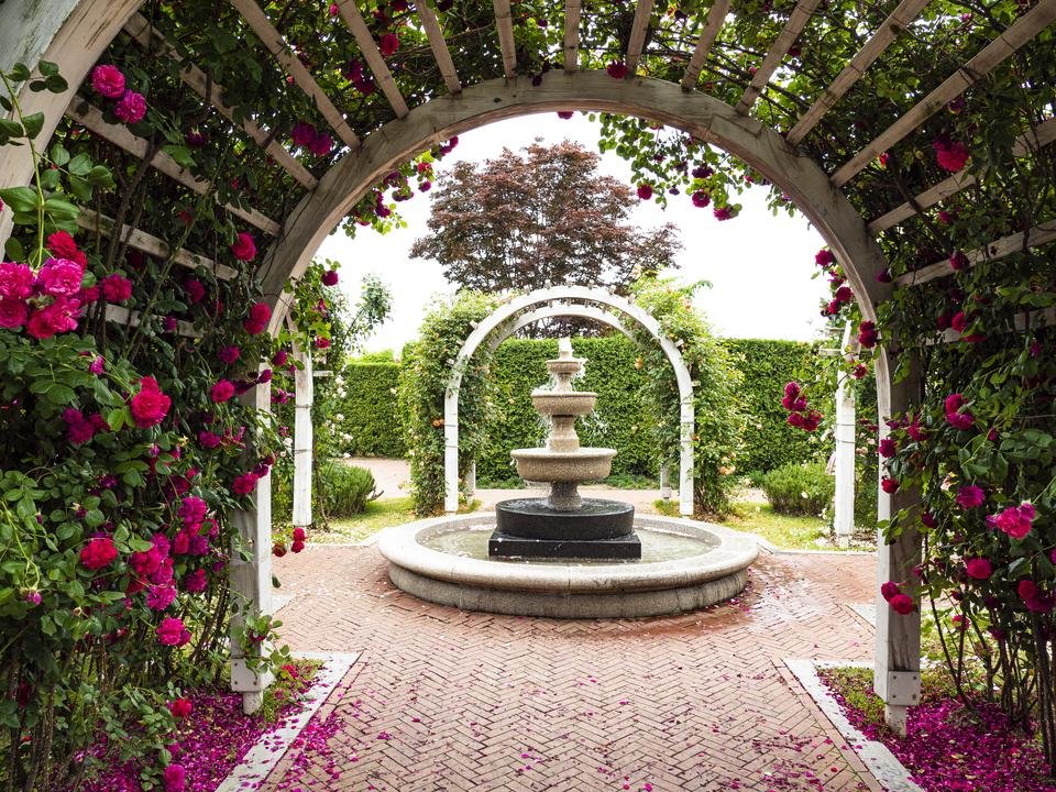 Suncheon Rose Garden