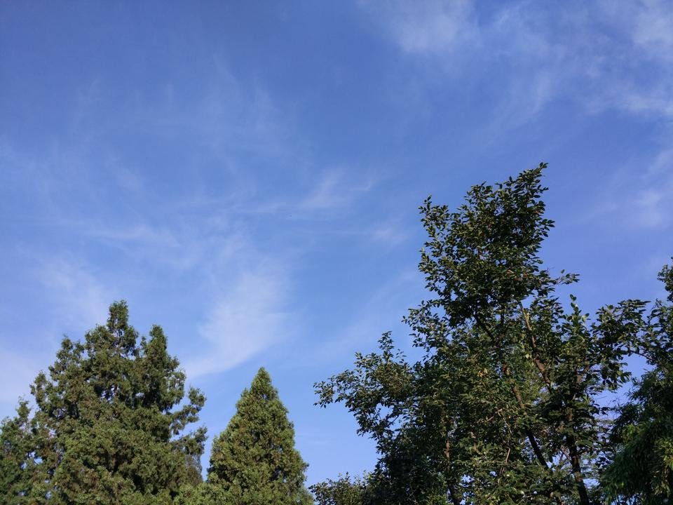 IMG_20160615_064840.jpg