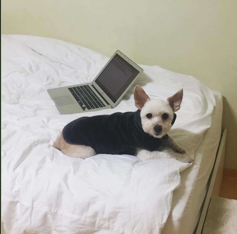 보리6.jpg